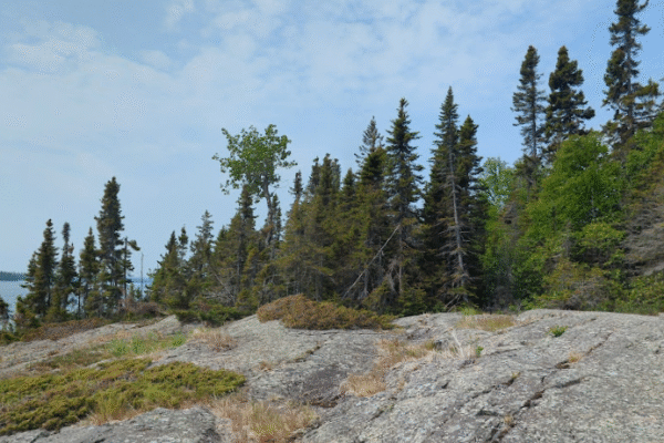 Isle Royale Tragedy 2025 Father and Son Named Among the Deceased at Remote National Park